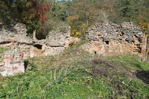 Dvur Alinkov, verfallener Gebudeteil in Flussnhege