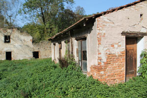 Dvůr Alinkov, Gerteschuppen, vergleichsweise gut erhalten