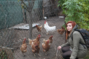 Nov Mlny, Hhner im Nachbarhaus