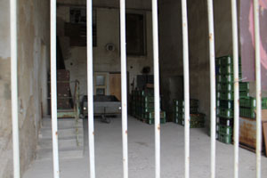 Nov Mlny, Haus, Garage